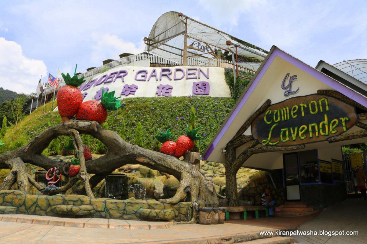 Cameron Strawberry Residence Cameron Highlands Exterior foto